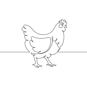 Vector drawing of a chicken, drawn with a continuous line