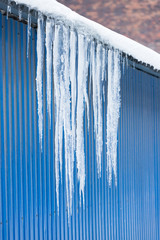 Roof of metal building with blue walls covered with sharp icicles/ Ice stalactite hanging from the roof, blue background/ Poor thermal insulation of the roof leads to the formation of icicles/ 
