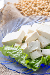 Closeup of Tofu and Soybeans. Soybeans and tofu are a good source of protein and a serious food allergen.