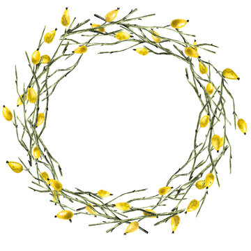 yellow berries wreath on white background clip art preview