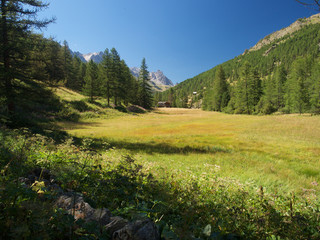 Weites Tal mit Wiesen und Wälder in den Alpen