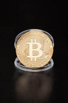 Golden bitcoin in transparent coin container on black, clipping path