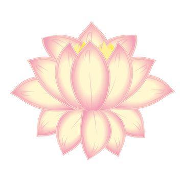 vector blooming Lotus flower. isolated on white background