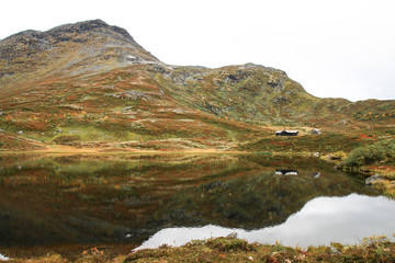 Tundra Taiga Fj&auml;ll