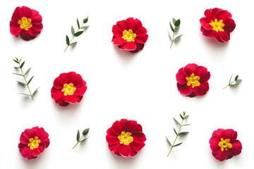 Frame With Red Flowers On White Background