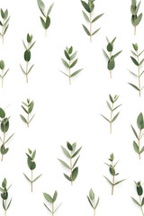 Fototapeta na wymiar Frame With Green Leaves On White Background