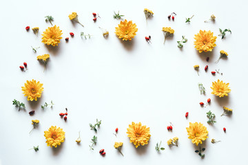 Fototapeta premium Frame With Yellow Flowers