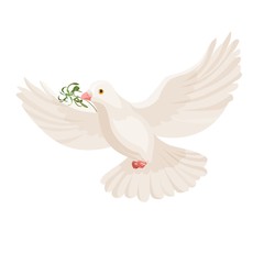 White dove with grass in beak vector flying bird isolated