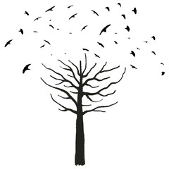 Tree and birds