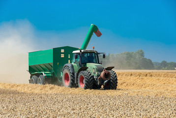 Tractor with trailer on the field - 937568