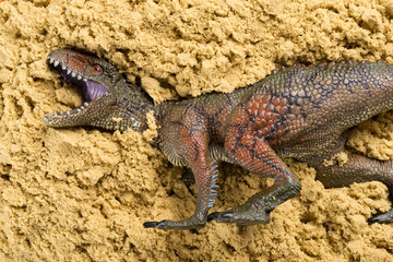 Carcharodontosaurus on sand concept of animal excavating