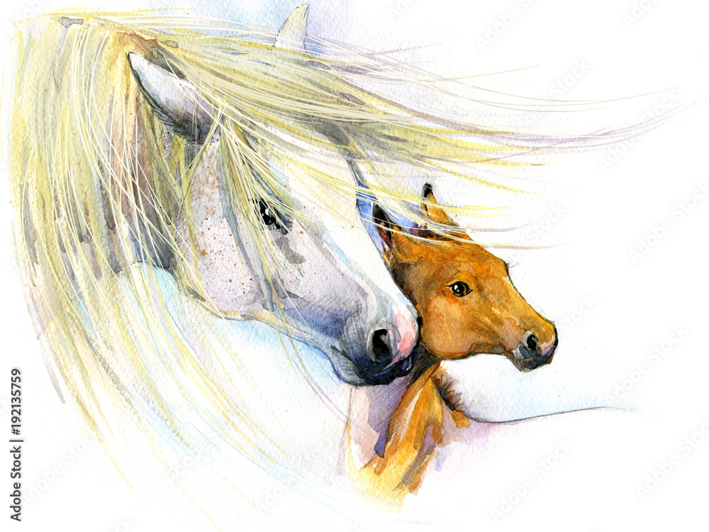 Wall mural Horse and foal watercolor illustration