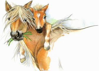 Horse and foal watercolor illustration © Елена Фаенкова
