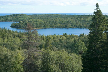 Summer Landscape