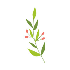 Vector flat abstract green plant with berry Wild meadow field grass garden spring easter, women day romantic holiday, wedding invitation card decoration, summer floral Illustration white background