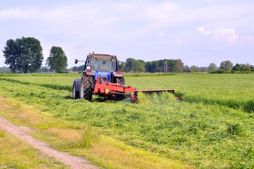 Mowing grass with a tractor