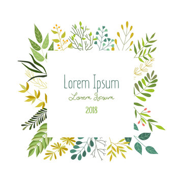Square frame of green leaves, twigs and herbs with place for text, banner, greeting card, eco logo decoration, vector illustration isolated in white background. Square frame with leaves and herbs