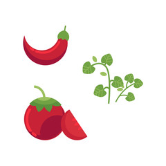 Vector flat barbecue, bbq symbols set. Row ripe sliced tomato chili pepper, parsley vegetables for grill. Restaurant menu design elements, isolated illustration on a white background