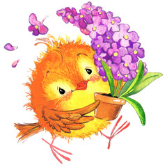 cute bird watercolor illustration