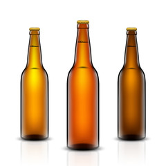 Beer bottle vector set.