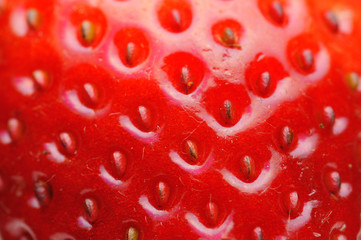 Strawberry Texture, Closeup Strawberry