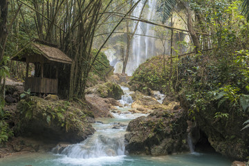 Oslob Cebu Motorcycle Riding