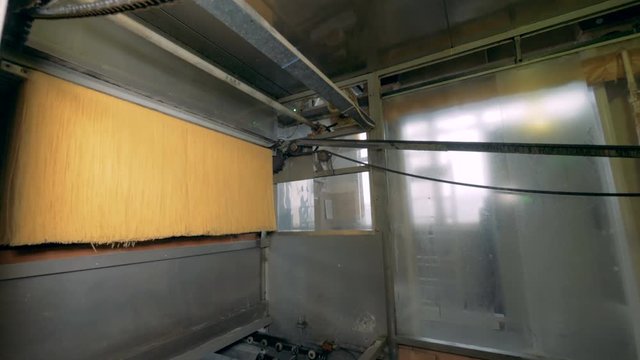 Raw spaghetti are moving on a conveyor in a pasta factory.