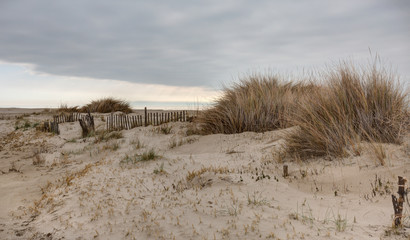 Plage de Piemanson-Les Salins de Giraud-Camargue