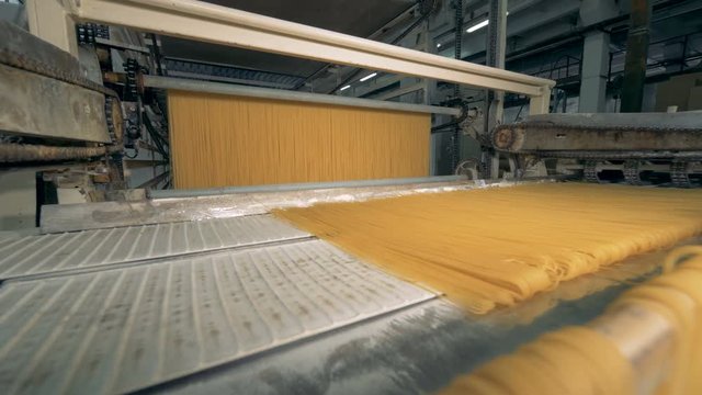 Raw spaghetti going through conveyor in a pasta factory. 4K.