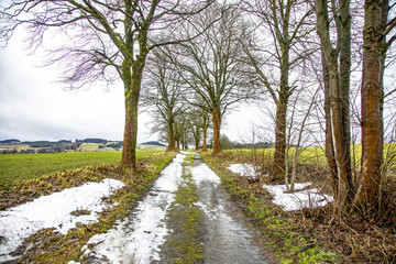 Dirt road in winter