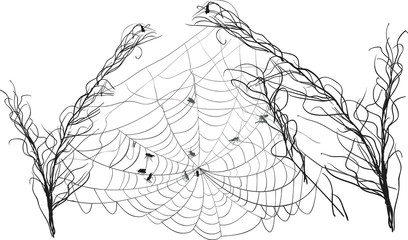 small insects in spider web between dry grass isolated on white