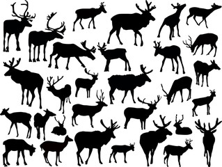thirty deer silhouettes on white