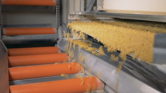 Macaroni, pasta falling down on sorting conveyor.