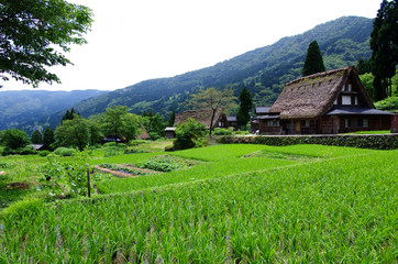 世界遺産である五箇山集落 © y.tanaka