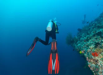 Fotobehang Back view of scuba diver exploring coral reef © Jag_cz