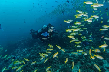 Tuinposter Young woman scuba diver exploring coral reef © Jag_cz