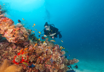 Fototapeta na wymiar Young woman scuba diver exploring coral reef