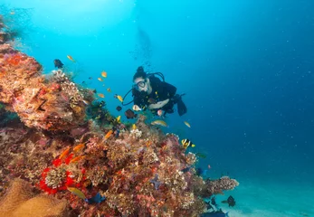 Selbstklebende Fototapeten Taucher der jungen Frau, der Korallenriff erkundet © Jag_cz