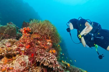 Outdoor kussens Young woman scuba diver exploring coral reef © Jag_cz