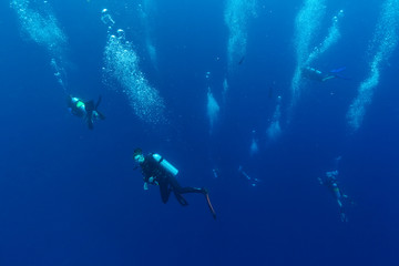 Fototapeta na wymiar Group of scuba divers descending into deepness