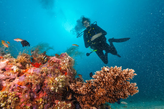Young woman scuba diver exploring coral reef