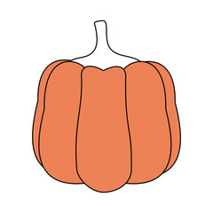 Pumpkin vegetable isolated icon vector illustration graphic design