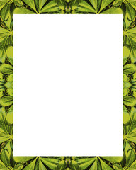 White Frame with Decorated Borders