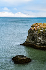 icelandic coast near arnastapi town