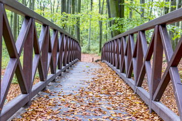 Wooden bridge in the park