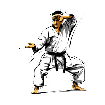 karate action 6