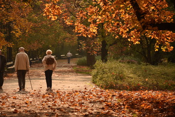Fototapeta premium Varsóvia Parque Ujazdowski