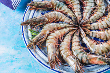 Frische Tiger Garnele