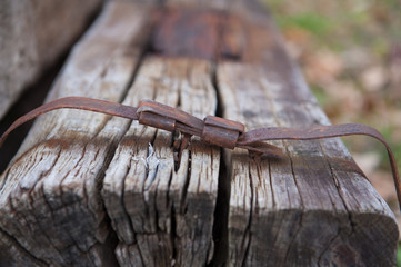 Old and used wooden railway sleeper or tie