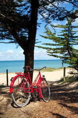 Fototapeta premium Vélo sur le littoral Français